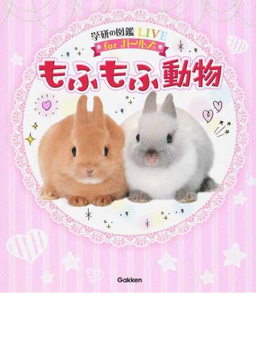 もふもふ動物の通販 今泉忠明 紙の本 Honto本の通販ストア