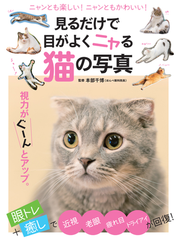 見るだけで目がよくニャる猫の写真 ニャンとも楽しい ニャンともかわいい の通販 本部 千博 マキノ出版ムック 紙の本 Honto本の通販ストア