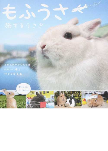もふうさ 旅するうさぎ ふわふわウサギたちのかわいい夢を叶える写真集の通販 江本 秀幸 紙の本 Honto本の通販ストア