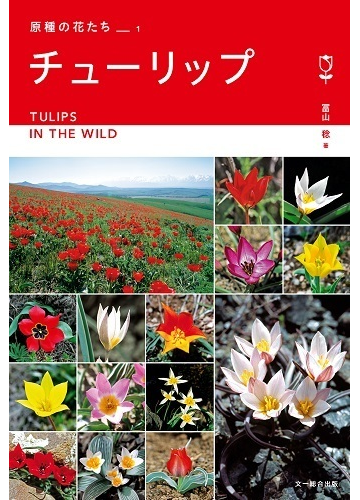 チューリップ ヨーロッパ アジア９カ国紀行の通販 冨山 稔 紙の本 Honto本の通販ストア