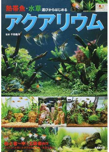 熱帯魚 水草選びからはじめるアクアリウム 美しいレイアウトがつくれる の通販 千田義洋 紙の本 Honto本の通販ストア