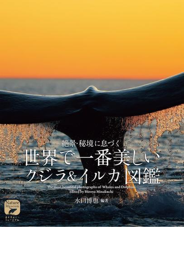 絶景 秘境に息づく世界で一番美しいクジラ イルカ図鑑の通販 水口 博也 紙の本 Honto本の通販ストア