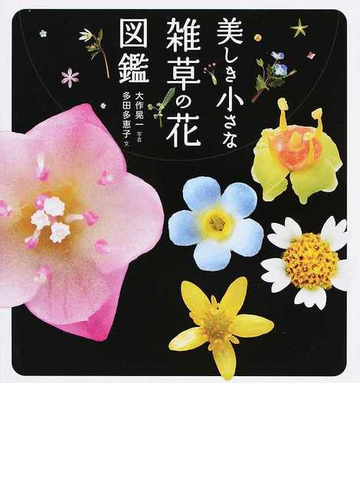 美しき小さな雑草の花図鑑の通販 大作 晃一 多田 多恵子 紙の本 Honto本の通販ストア