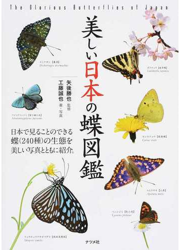 美しい日本の蝶図鑑の通販 工藤 誠也 矢後 勝也 紙の本 Honto本の通販ストア