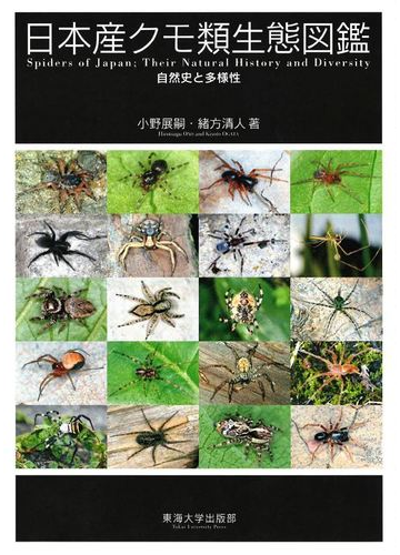 日本産クモ類生態図鑑 自然史と多様性の通販 小野 展嗣 緒方 清人 紙の本 Honto本の通販ストア