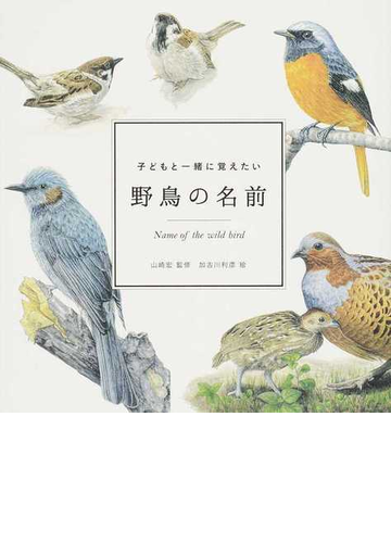 子どもと一緒に覚えたい野鳥の名前の通販 山崎 宏 加古川 利彦 紙の本 Honto本の通販ストア