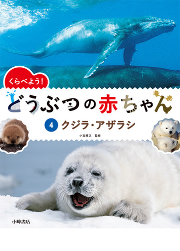 くらべよう どうぶつの赤ちゃん ４ クジラ アザラシの通販 小宮 輝之 紙の本 Honto本の通販ストア