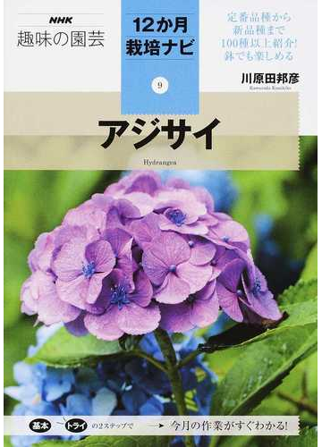 アジサイの通販 川原田 邦彦 紙の本 Honto本の通販ストア