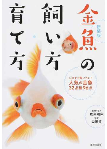 金魚の飼い方 育て方 いますぐ飼いたい 人気の金魚３２品種９６点 新装版の通販 佐藤 昭広 森岡 篤 紙の本 Honto本の通販ストア