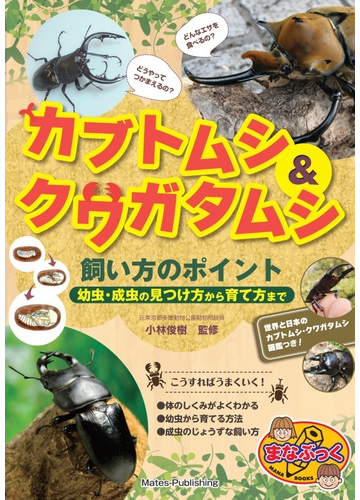 カブトムシ クワガタムシ飼い方のポイント 幼虫 成虫の見つけ方から育て方までの通販 小林 俊樹 紙の本 Honto本の通販ストア