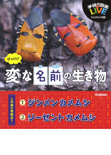 びっくり 変な名前の生き物の通販 木村義志 紙の本 Honto本の通販ストア