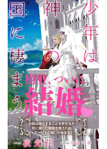 少年は神の国に棲まう イラスト付 電子限定ss付 の電子書籍 Honto電子書籍ストア