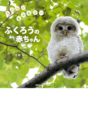 ふくろうの赤ちゃん もふもふもふもふ の通販 大橋 弘一 講談社ビーシー書籍出版部 紙の本 Honto本の通販ストア