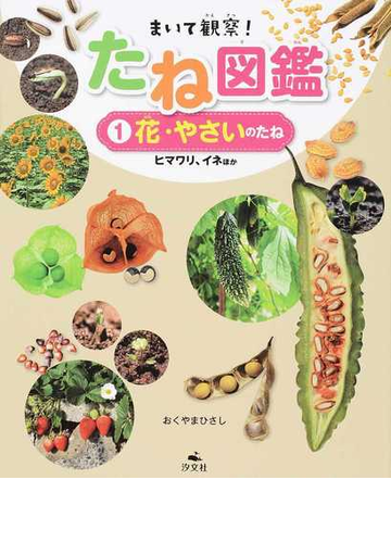 まいて観察 たね図鑑 １ 花 やさいのたねの通販 おくやま ひさし 紙の本 Honto本の通販ストア