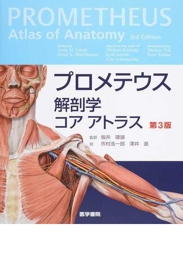 プロメテウス解剖学コアアトラス 第３版の通販 ａｎｎｅ ｍ ｇｉｌｒｏｙ 澤井 直 紙の本 Honto本の通販ストア