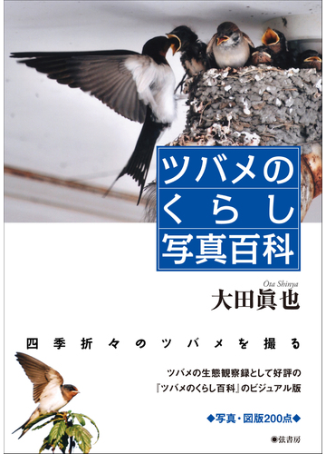 ツバメのくらし写真百科の通販 大田 眞也 紙の本 Honto本の通販ストア