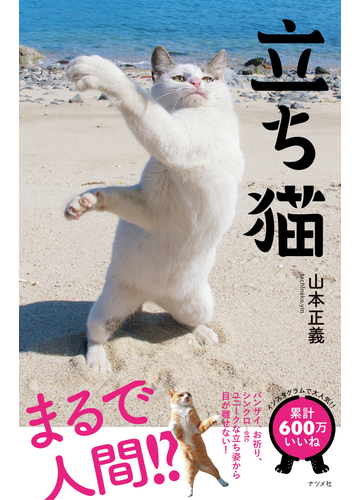 立ち猫 まるで人間 ユニークな立ち姿から目が離せない の通販 山本 正義 紙の本 Honto本の通販ストア