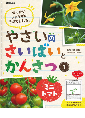 やさいのさいばいとかんさつ ぜったいじょうずにそだてられる 1 ミニトマトの通販 藤田智 紙の本 Honto本の通販ストア やさいのさいばいとかんさつ ぜったいじょうずにそだてられる 1 ミニトマトの通販 藤田智 紙の本 Honto本の通販ストア