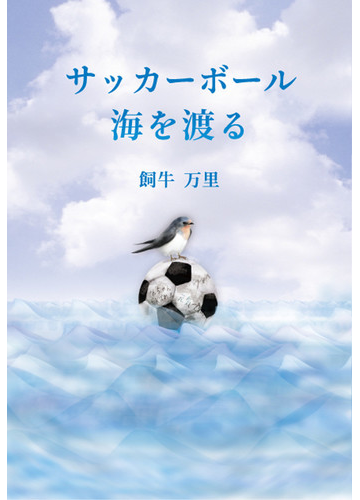 サッカーボール海を渡るの通販 飼牛 万里 小説 Honto本の通販ストア
