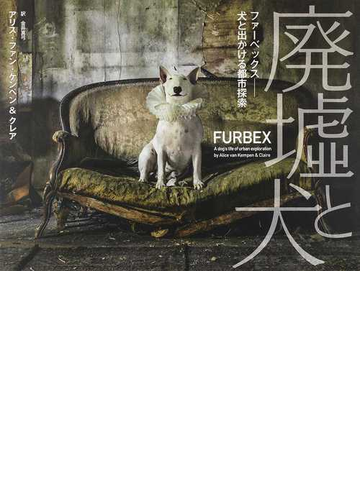廃墟と犬 ファーベックス 犬と出かける都市探索の通販 アリス ファン ケンペ クレア 紙の本 Honto本の通販ストア