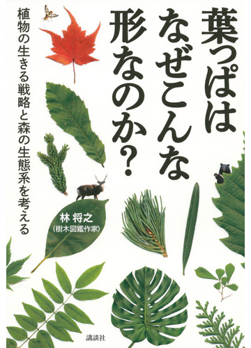 葉っぱはなぜこんな形なのか 植物の生きる戦略と森の生態系を考えるの通販 林将之 紙の本 Honto本の通販ストア