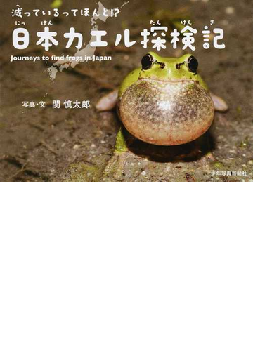 日本カエル探検記 減っているってほんと の通販 関 慎太郎 紙の本 Honto本の通販ストア