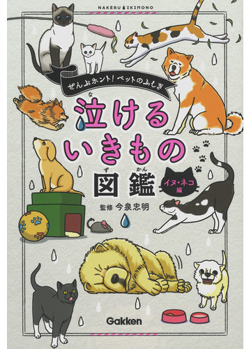 泣けるいきもの図鑑 イヌ ネコ編 ぜんぶホント ペットのふしぎの通販 今泉忠明 紙の本 Honto本の通販ストア