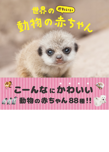 世界のかわいい動物の赤ちゃんの通販 大渕 希郷 パイインターナショナル 紙の本 Honto本の通販ストア