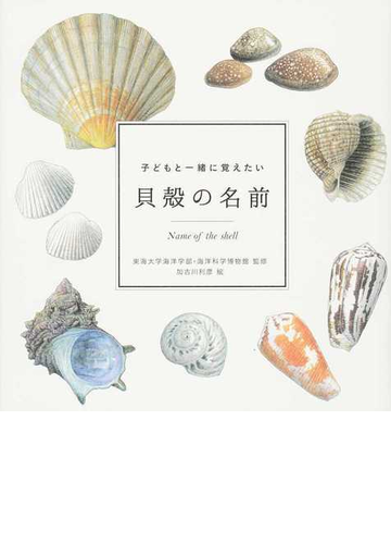 子どもと一緒に覚えたい貝殻の名前の通販 東海大学海洋学部 海洋科学博物館 紙の本 Honto本の通販ストア