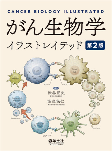 がん生物学イラストレイテッド 第２版の通販 渋谷 正史 湯浅 保仁 紙の本 Honto本の通販ストア