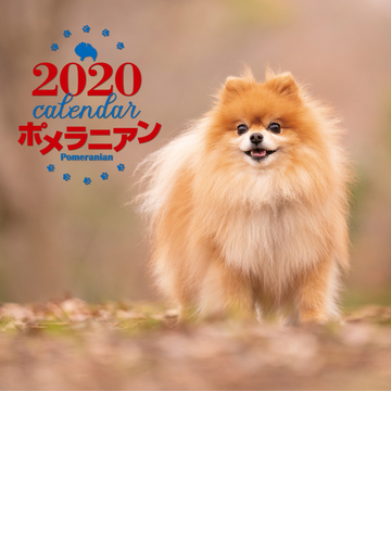 年 大判カレンダー ポメラニアンの通販 中村陽子 紙の本 Honto本の通販ストア