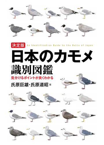 日本のカモメ識別図鑑 決定版 見分けるポイントが良くわかるの通販 氏原巨雄 氏原道昭 紙の本 Honto本の通販ストア