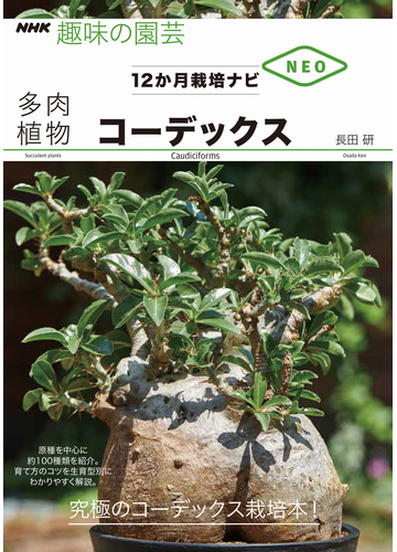 多肉植物コーデックスの通販 長田研 紙の本 Honto本の通販ストア