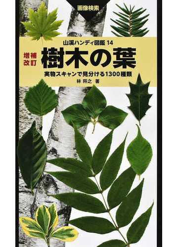 樹木の葉 実物スキャンで見分ける１３００種類 画像検索 増補改訂の通販 林 将之 紙の本 Honto本の通販ストア