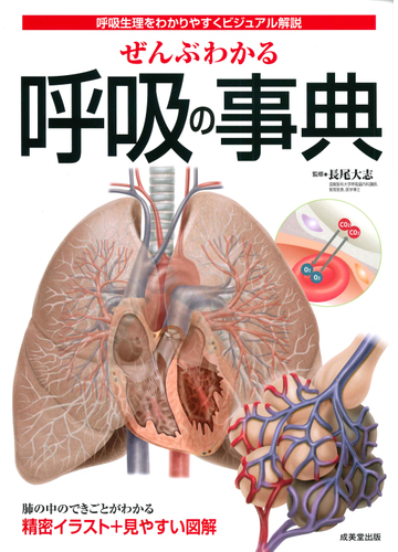 ぜんぶわかる呼吸の事典 呼吸生理をわかりやすくビジュアル解説の通販 長尾 大志 紙の本 Honto本の通販ストア