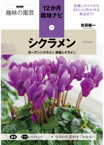 シクラメン ガーデンシクラメン 原種シクラメンの通販 吉田 健一 紙の本 Honto本の通販ストア