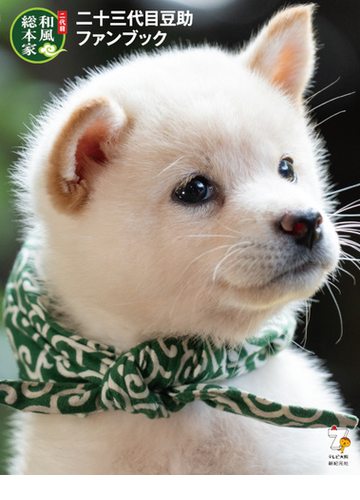二十三代目豆助ファンブック 二代目和風総本家の通販 森下 泰樹 テレビ大阪 紙の本 Honto本の通販ストア