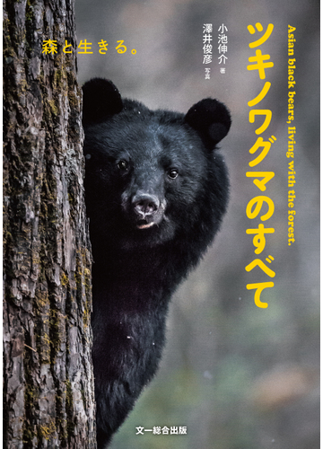 ツキノワグマのすべて 森と生きる の通販 小池 伸介 澤井 俊彦 紙の本 Honto本の通販ストア
