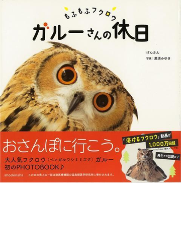 アウトレットブック もふもふフクロウガルーさんの休日の通販 げんさん 紙の本 Honto本の通販ストア