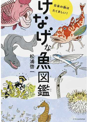 けなげな魚図鑑 日本の魚はたくましい の通販 松浦 啓一 紙の本 Honto本の通販ストア