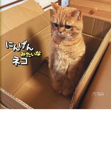 にんげんみたいなネコの通販 ｍａｃ ｍａｒｒｏｎ にゃんこ編集部 紙の本 Honto本の通販ストア