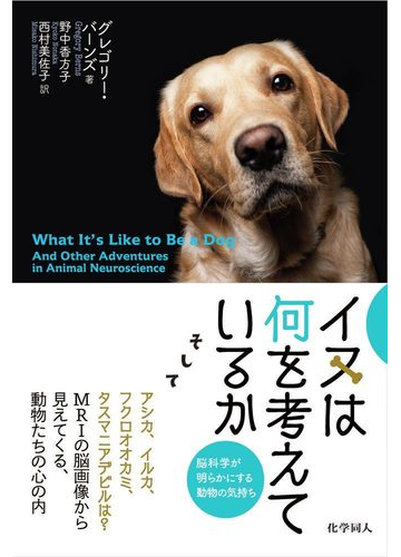 イヌは何を考えているか 脳科学が明らかにする動物の気持ちの通販 グレゴリー バーンズ 野中 香方子 紙の本 Honto本の通販ストア