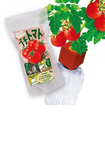 ペットボトル栽培グリーントイ プチトマトの通販 紙の本 Honto本の通販ストア