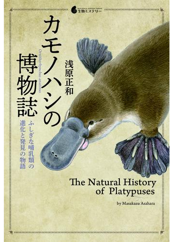 カモノハシの博物誌 ふしぎな哺乳類の進化と発見の物語の通販 浅原 正和 紙の本 Honto本の通販ストア