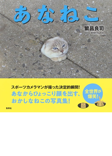 あなねこの通販 繁昌良司 紙の本 Honto本の通販ストア