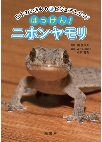 はっけん ニホンヤモリの通販 関 慎太郎 ａｚ ｒｅｌｉｅｆ 紙の本 Honto本の通販ストア