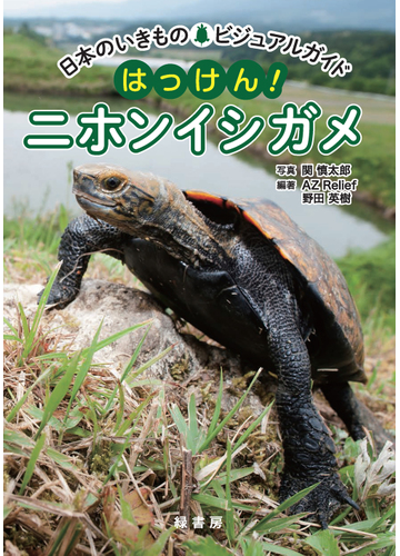 はっけん ニホンイシガメの通販 関 慎太郎 ａｚ ｒｅｌｉｅｆ 紙の本 Honto本の通販ストア