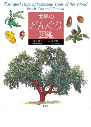 世界のどんぐり図鑑の通販 徳永桂子 原正利 紙の本 Honto本の通販ストア