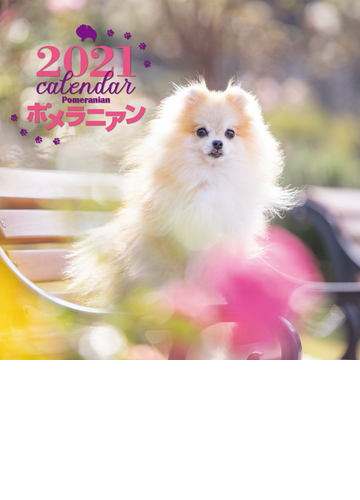 21年 大判カレンダー ポメラニアンの通販 中村陽子 紙の本 Honto本の通販ストア
