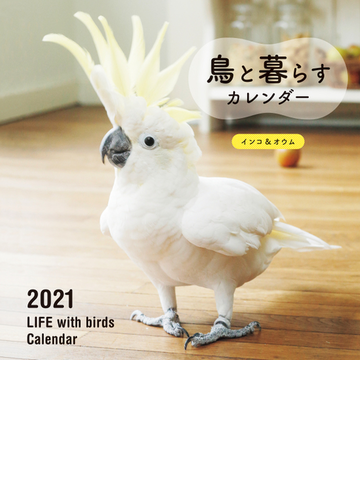 21年 大判カレンダー 鳥と暮らすカレンダー インコ オウムの通販 蜂巣文香 紙の本 Honto本の通販ストア